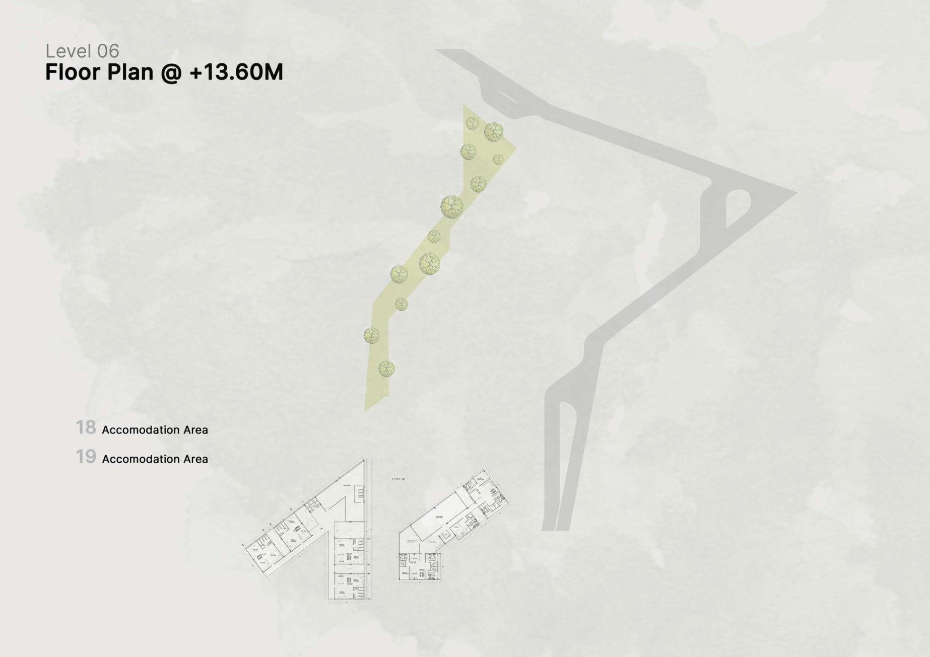 Calico Cultural Centre — Level 06 · floor plan at +13.60 m
