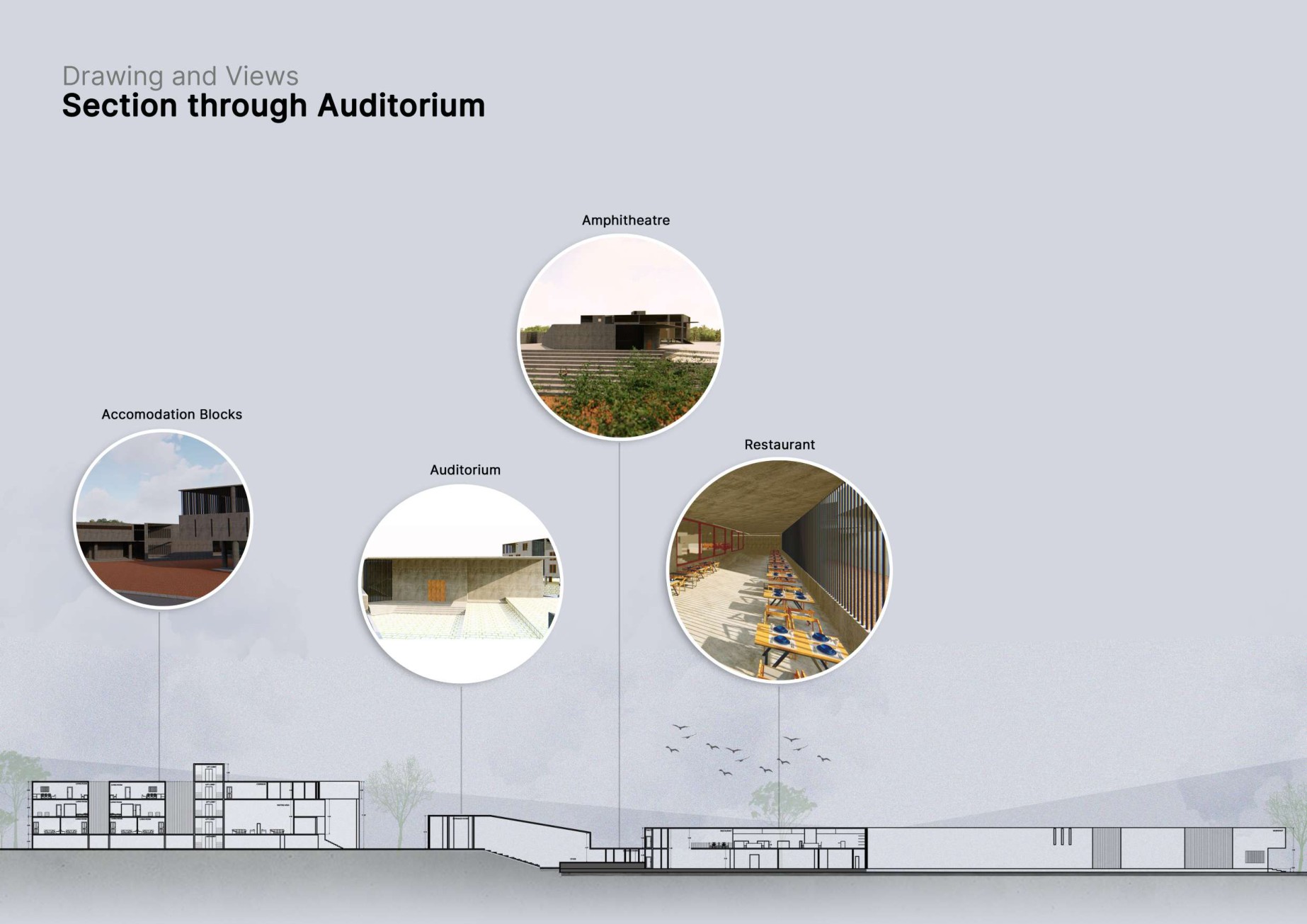 Calico Cultural Centre — Section through the auditorium
